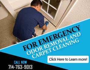 Rug Cleaning Service - Carpet Cleaning Placentia, CA