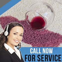 Contact Carpet Cleaning Company